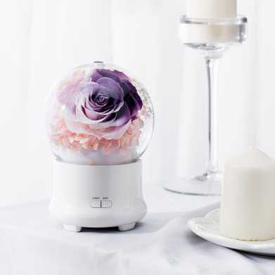 新品创意永生花香薰机加湿器节庆生日实物礼物企业礼品
