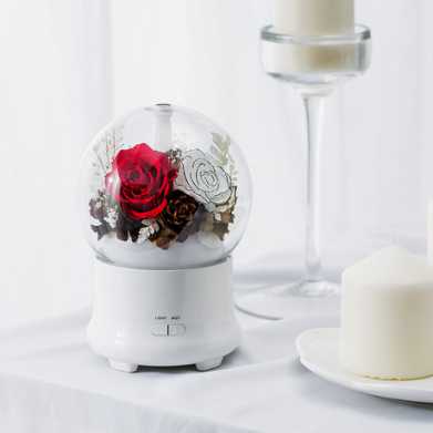 新品创意永生花香薰机加湿器节庆生日实物礼物企业礼品