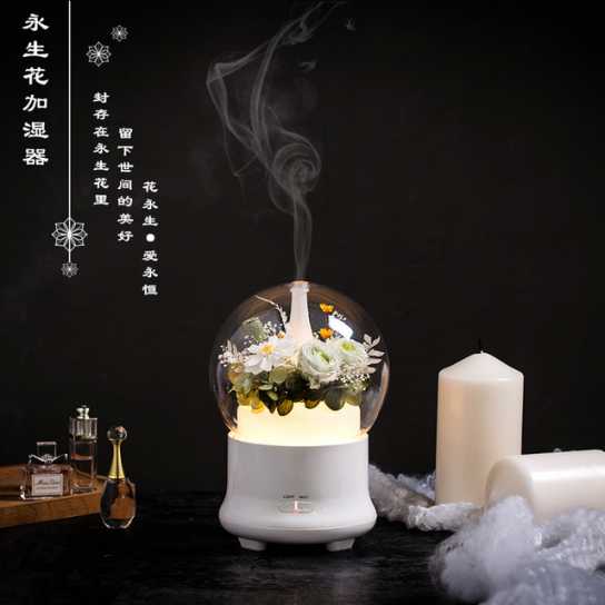 新品创意永生花香薰机加湿器节庆生日实物礼物企业礼品