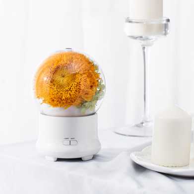 新品创意永生花香薰机加湿器节庆生日实物礼物企业礼品