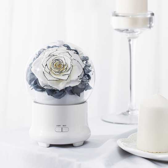 新品创意永生花香薰机加湿器节庆生日实物礼物企业礼品