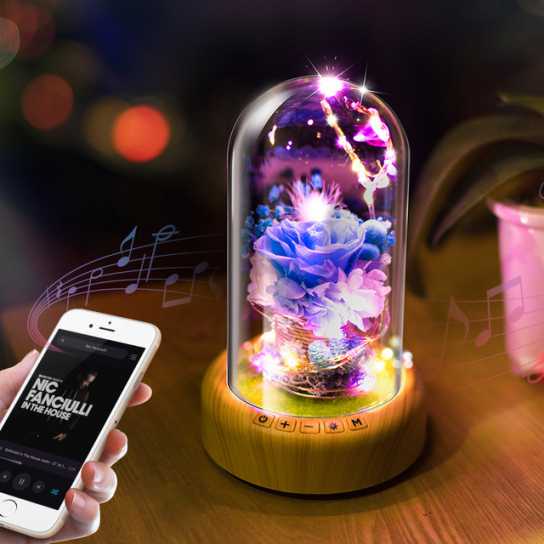 新品许愿流光瓶蓝牙音响氛围灯圣诞节礼物创意LED小夜灯