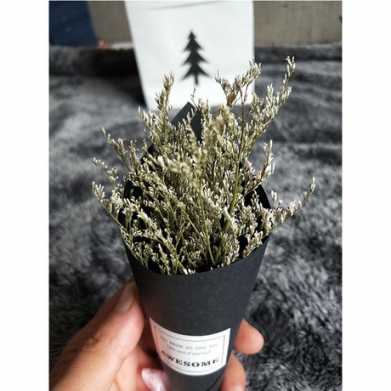 小清新满天星手工干花情人草礼物圣诞节节日礼物小花束礼盒配套