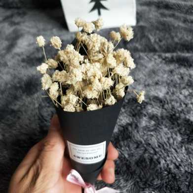 小清新满天星手工干花情人草礼物圣诞节节日礼物小花束礼盒配套