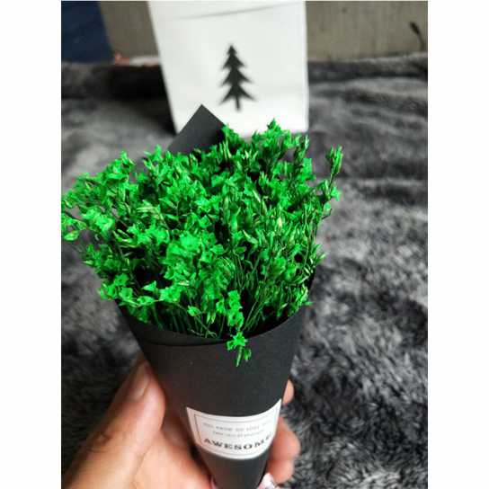 小清新满天星手工干花情人草礼物圣诞节节日礼物小花束礼盒配套