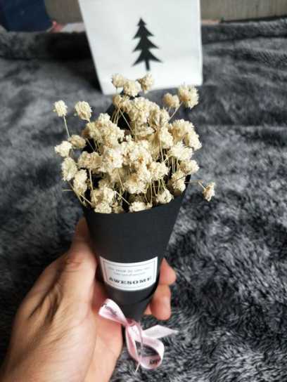 小清新满天星手工干花情人草礼物圣诞节节日礼物小花束礼盒配套