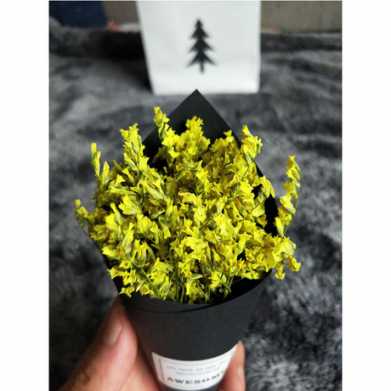 小清新满天星手工干花情人草礼物圣诞节节日礼物小花束礼盒配套