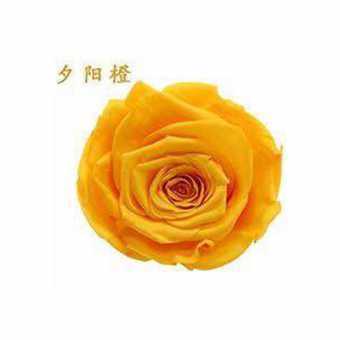 永生花玫瑰花头4-5cmB级8朵盒装保鲜花 情人节生日礼物干花花束