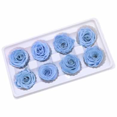 永生花玫瑰花头4-5cmB级8朵盒装保鲜花 情人节生日礼物干花花束