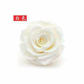 永生花玫瑰花头4-5cmB级8朵盒装保鲜花 情人节生日礼物干花花束