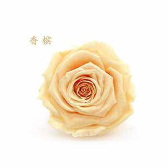 永生花玫瑰花头4-5cmB级8朵盒装保鲜花 情人节生日礼物干花花束