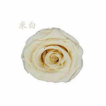 永生花玫瑰花头4-5cmB级8朵盒装保鲜花 情人节生日礼物干花花束