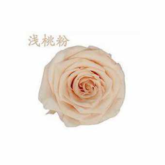 永生花玫瑰花头4-5cmB级8朵盒装保鲜花 情人节生日礼物干花花束