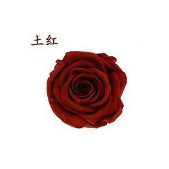 永生花玫瑰花头4-5cmB级8朵盒装保鲜花 情人节生日礼物干花花束