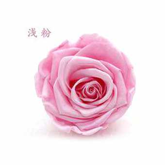 永生花玫瑰花头4-5cmB级8朵盒装保鲜花 情人节生日礼物干花花束