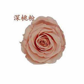 永生花玫瑰花头4-5cmB级8朵盒装保鲜花 情人节生日礼物干花花束