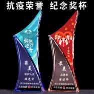 蕞美逆行者奖杯 2020创意水晶奖杯新款优秀员工礼品定做颁奖