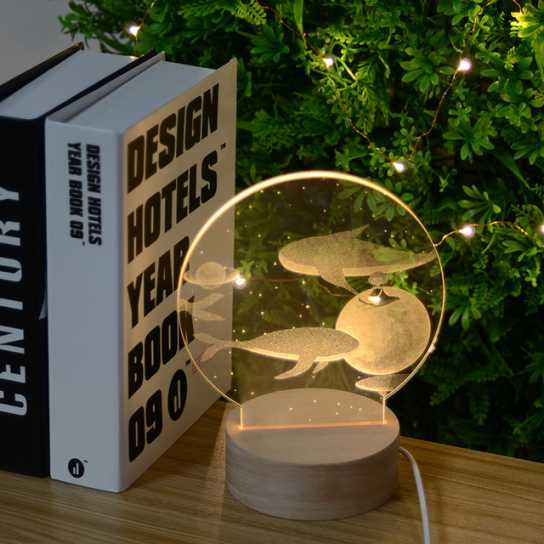 新款3D亚克力内雕创意小夜灯usb氛围浪漫台灯