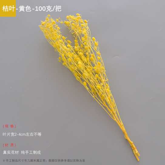 永生干花情人果花束ins摆件情人节创意礼物小刺芹紫蓟永生花配材