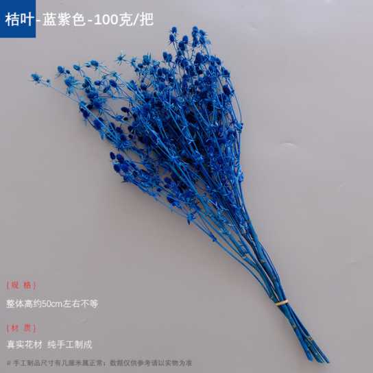 永生干花情人果花束ins摆件情人节创意礼物小刺芹紫蓟永生花配材