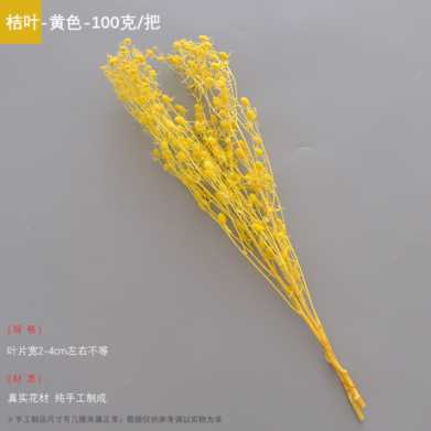 永生干花情人果花束ins摆件情人节创意礼物小刺芹紫蓟永生花配材