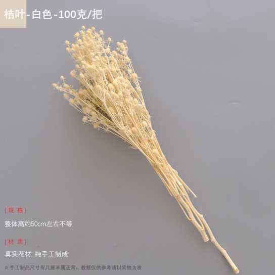 永生干花情人果花束ins摆件情人节创意礼物小刺芹紫蓟永生花配材