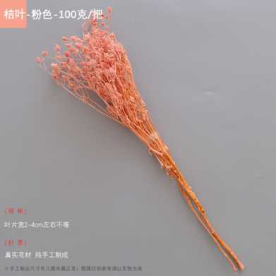 永生干花情人果花束ins摆件情人节创意礼物小刺芹紫蓟永生花配材