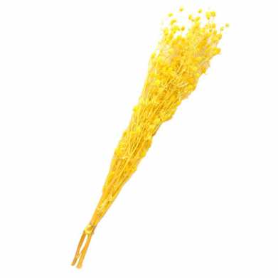 永生干花情人果花束ins摆件情人节创意礼物小刺芹紫蓟永生花配材