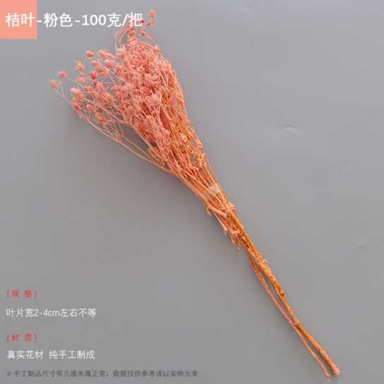 永生干花情人果花束ins摆件情人节创意礼物小刺芹紫蓟永生花配材