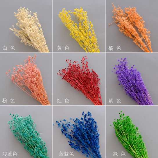永生干花情人果花束ins摆件情人节创意礼物小刺芹紫蓟永生花配材