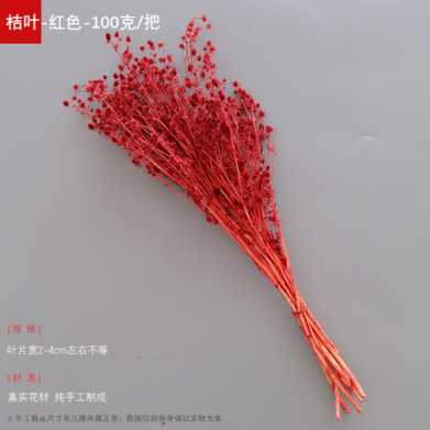永生干花情人果花束ins摆件情人节创意礼物小刺芹紫蓟永生花配材