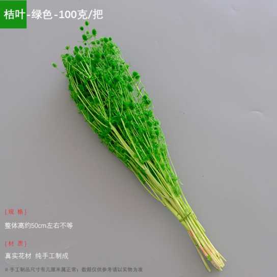 永生干花情人果花束ins摆件情人节创意礼物小刺芹紫蓟永生花配材