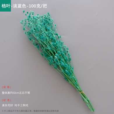 永生干花情人果花束ins摆件情人节创意礼物小刺芹紫蓟永生花配材