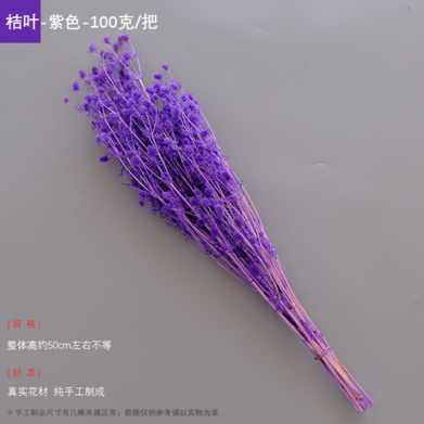 永生干花情人果花束ins摆件情人节创意礼物小刺芹紫蓟永生花配材