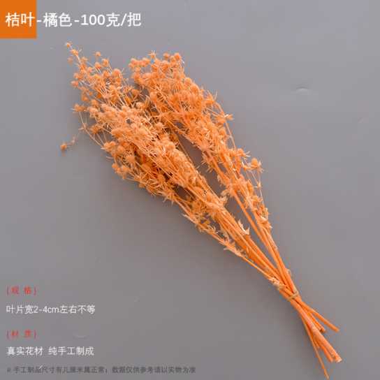 永生干花情人果花束ins摆件情人节创意礼物小刺芹紫蓟永生花配材