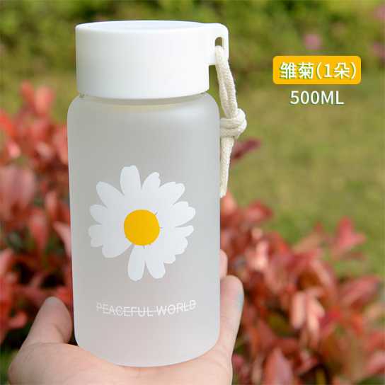创意可爱小雏菊高硼硅玻璃杯cup可爱学生ins水杯韩版礼品便携杯子