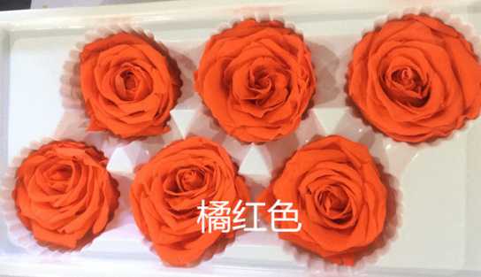 保鲜玫瑰永生花情人节礼盒圣诞节礼物生日礼品配材花4-5