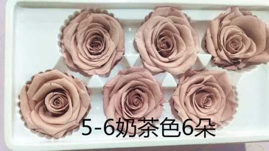 保鲜玫瑰永生花情人节礼盒圣诞节礼物生日礼品配材花4-5