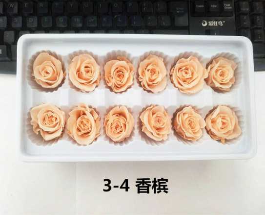 保鲜玫瑰永生花情人节礼盒圣诞节礼物生日礼品配材花4-5