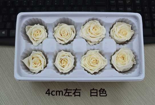 保鲜玫瑰永生花情人节礼盒圣诞节礼物生日礼品配材花4-5