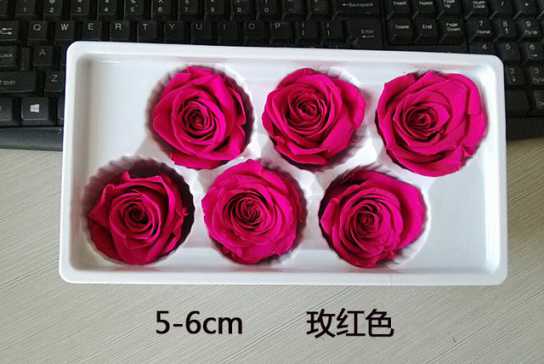 保鲜玫瑰永生花情人节礼盒圣诞节礼物生日礼品配材花4-5