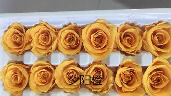 保鲜玫瑰永生花情人节礼盒圣诞节礼物生日礼品配材花4-5