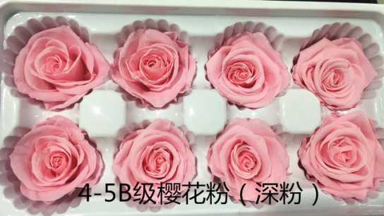 保鲜玫瑰永生花情人节礼盒圣诞节礼物生日礼品配材花4-5