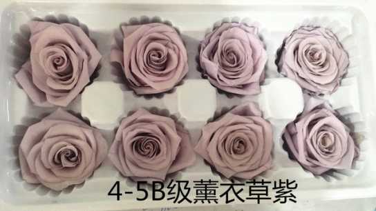 保鲜玫瑰永生花情人节礼盒圣诞节礼物生日礼品配材花4-5