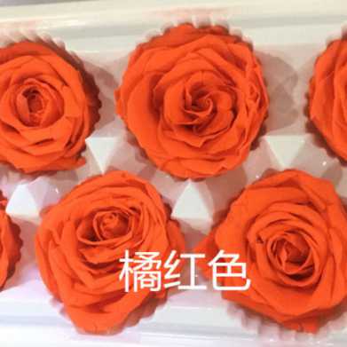 保鲜玫瑰永生花情人节礼盒圣诞节礼物生日礼品配材花4-5