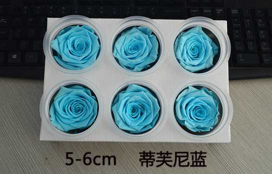 保鲜玫瑰永生花情人节礼盒圣诞节礼物生日礼品配材花4-5
