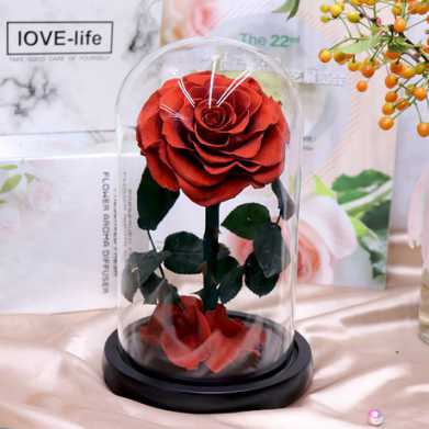 永生花礼盒玫瑰花小王子玻璃罩七夕情人节教师节圣诞节礼物