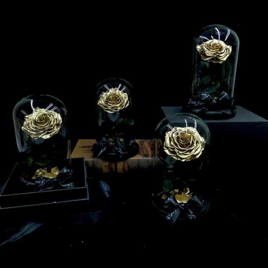 永生花礼盒玫瑰花小王子玻璃罩七夕情人节教师节圣诞节礼物