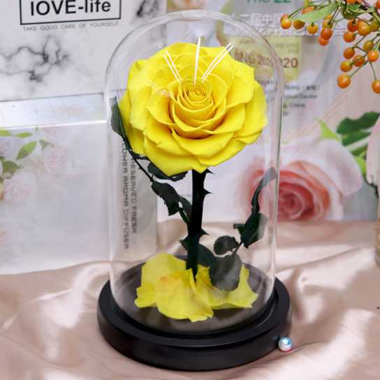 永生花礼盒玫瑰花小王子玻璃罩七夕情人节教师节圣诞节礼物
