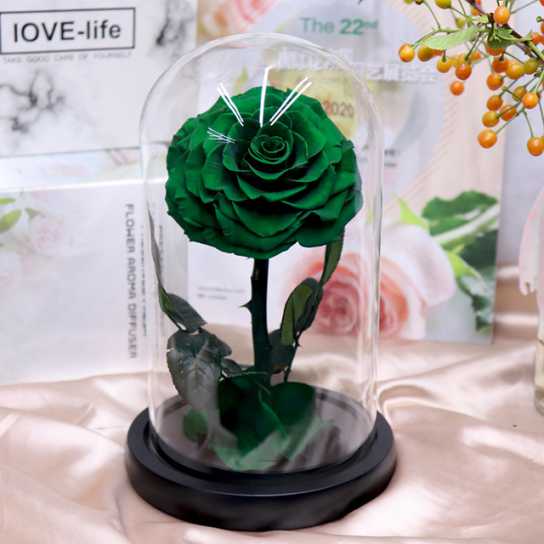 永生花礼盒玫瑰花小王子玻璃罩七夕情人节教师节圣诞节礼物